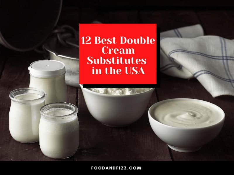 12 Best Double Cream Substitutes in the USA