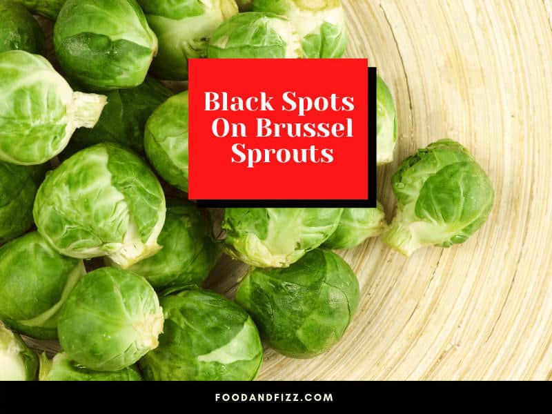 Black Spots On Brussel Sprouts
