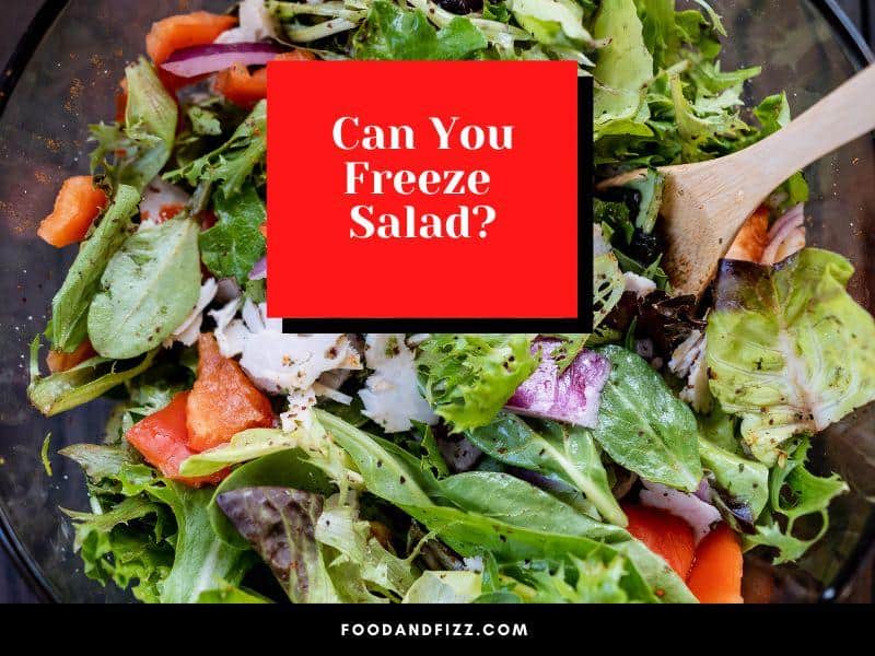 Can You Freeze Salad?