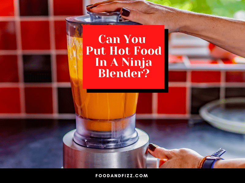 Can You Put Hot Food In A Ninja Blender?