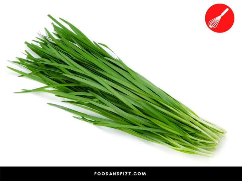 Chives are similar to green onions and can be used as a substitute in recipes.