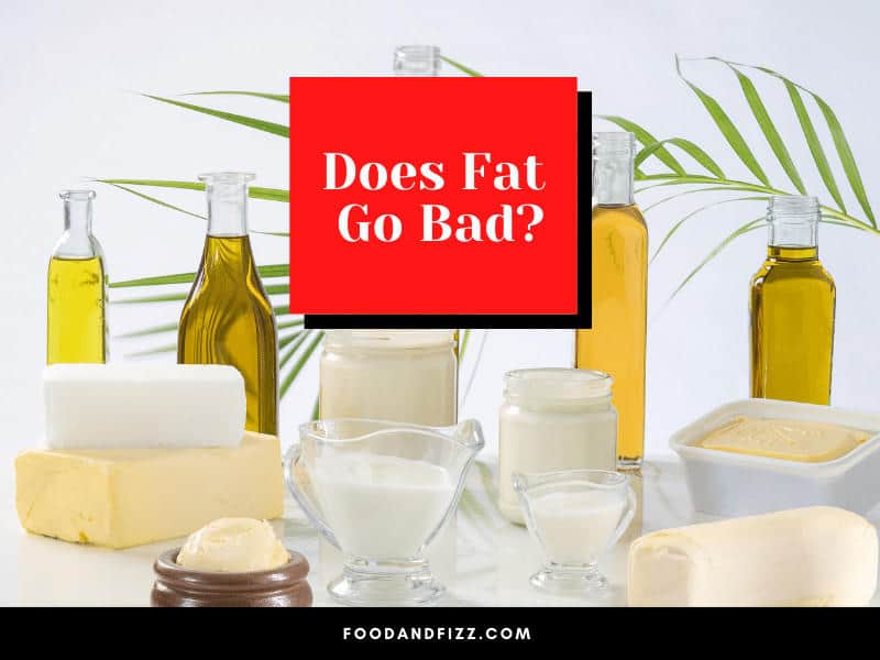 Does Fat Go Bad?