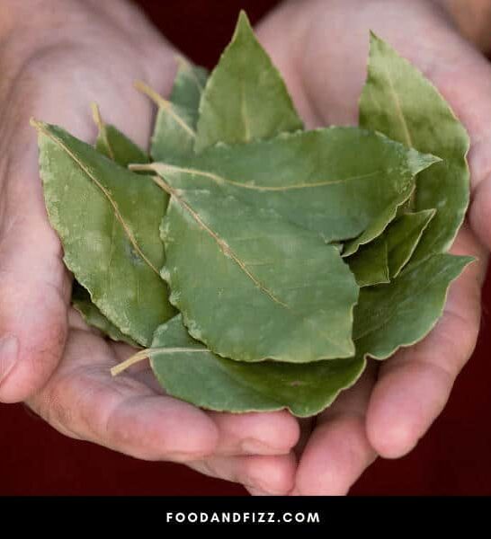 How Many Bay Leaves in a Pound? #1 Best Answer