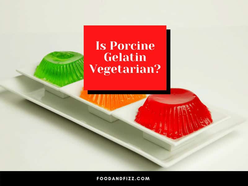 Is Porcine Gelatin Vegetarian?