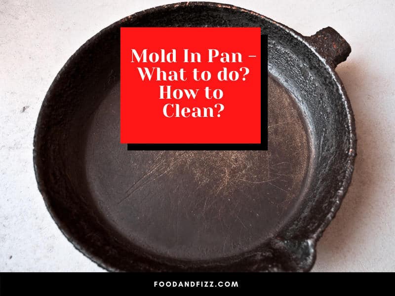 Mold In Pan - What to do? How to Clean?