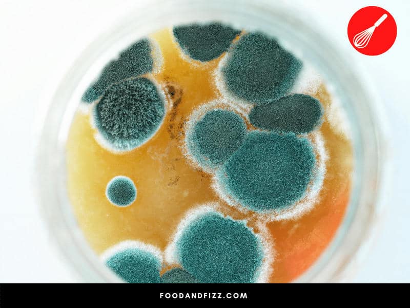Most types of mold are non-toxic but a certain type called black mold or toxic mold, can cause serious health issues.