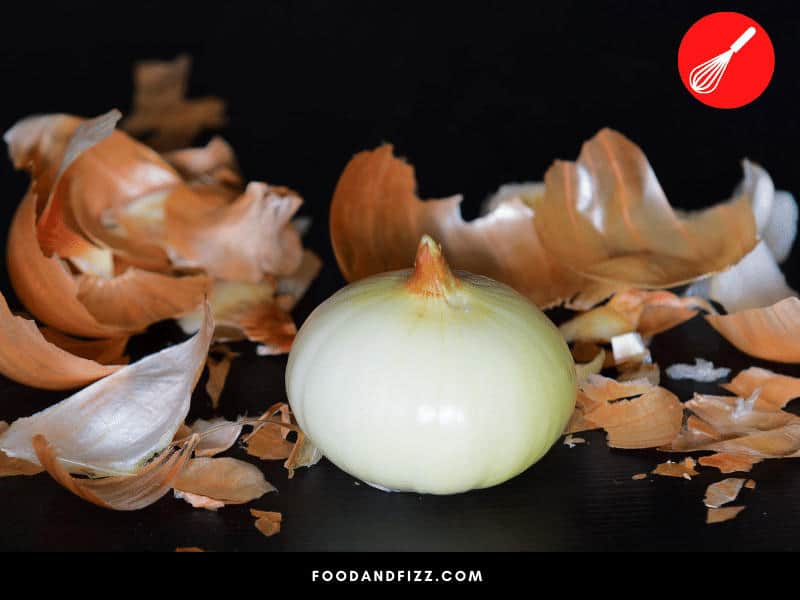 The skin, found outside the onion and in between each layer, serves as a protection to the onion. 