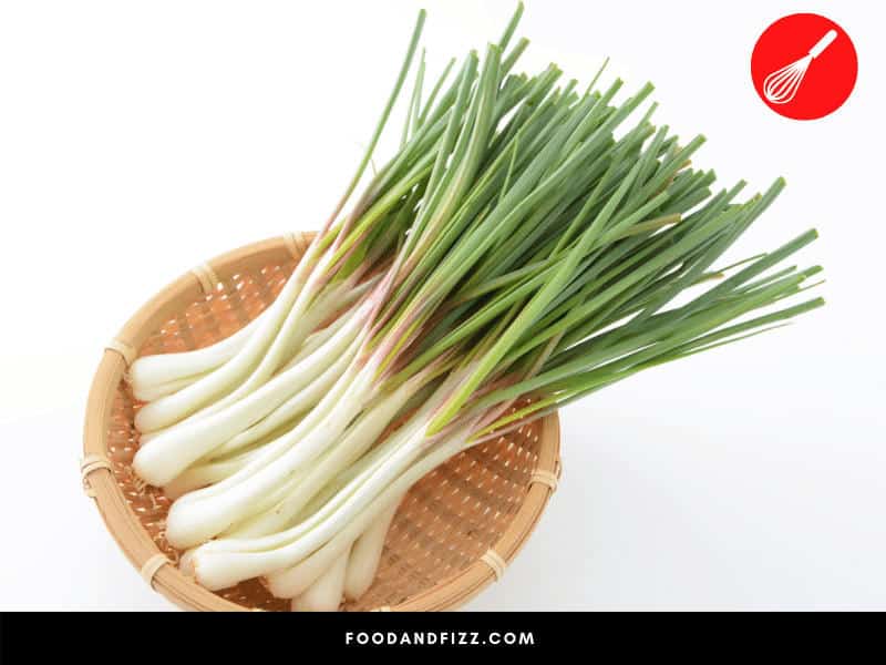 The white parts of scallions are sharper than the green parts, but they aren't as sharp in taste as regular onions.