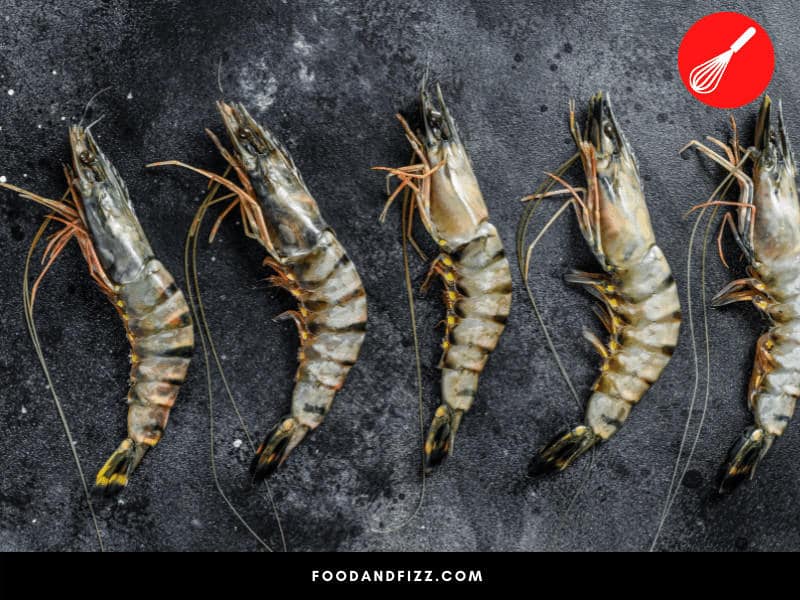 Tiger shrimp have stripes on their bodies. They have a firm texture and hold up well to different cooking methods.