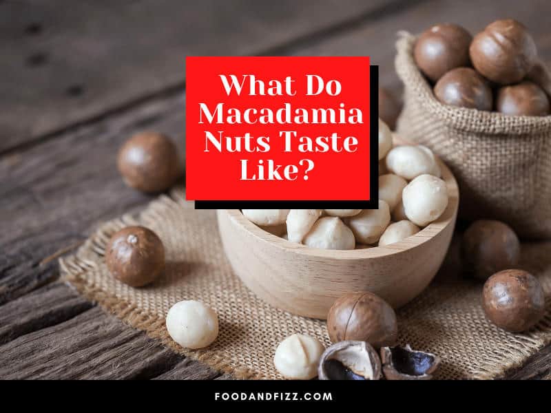 What Do Macadamia Nuts Taste Like?