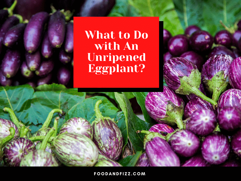 What to Do with An Unripened Eggplant?