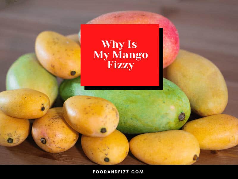 Why is My Mango Fizzy?