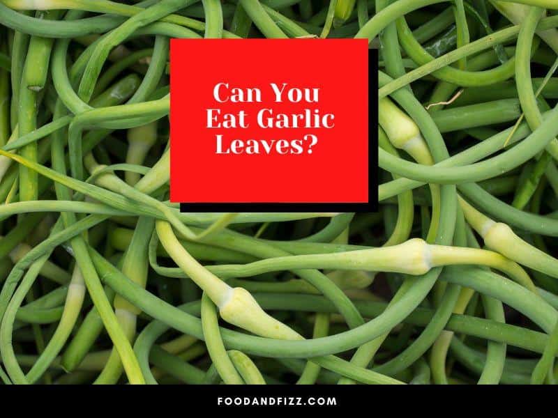 Can You Eat Garlic Leaves?