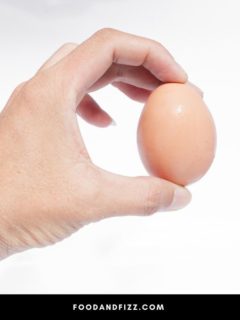 If You Shake An Egg Will It Scramble?