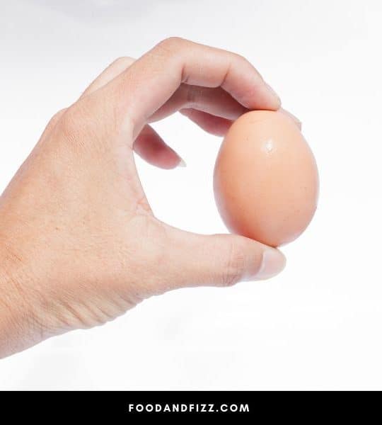 If You Shake An Egg Will It Scramble? #1 Interesting Facts