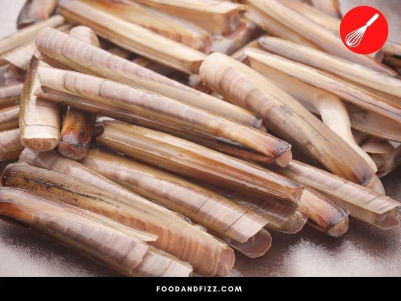 Razor clams are named as such because of their resemblance to razors.