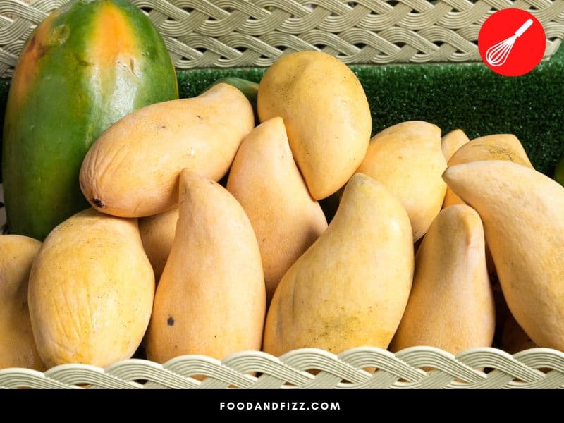 All mangoes imported into the U.S. are subjected to hot water treatment to kill pests and fruit flies.
