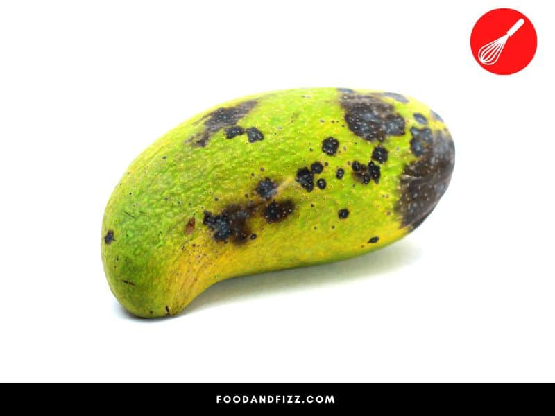 Bacterial black spots appear as irregular, raised black spots on the skin of mangoes and are caused by bacteria.
