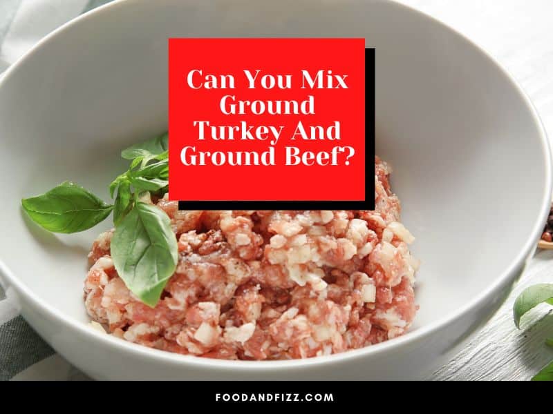 Can You Mix Ground Turkey And Ground Beef?