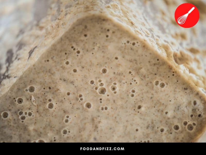 The type of bacteria and yeast that dominate in a starter depends on the frequency of feedings, type of flour, water, and temperature of the environment.