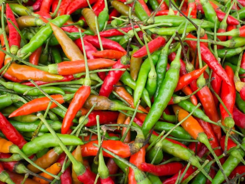 Bird's eye chilis may be small, but pack quite a spicy punch at 50,000-100,000 Scoville units.