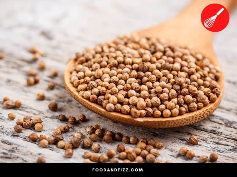 Coriander seeds are typically roasted and ground up before it is used in cooking.