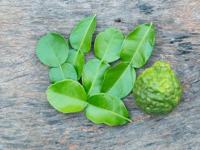 Kaffir lime leaves are used more often in Thai cooking than the actual fruit.