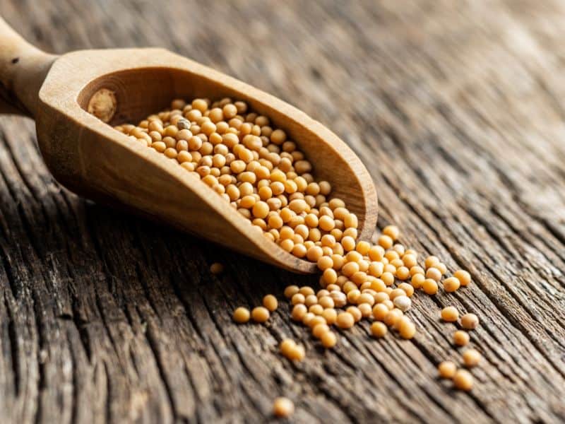 Mustard seed is used for flavoring meats, and used in curry bases.