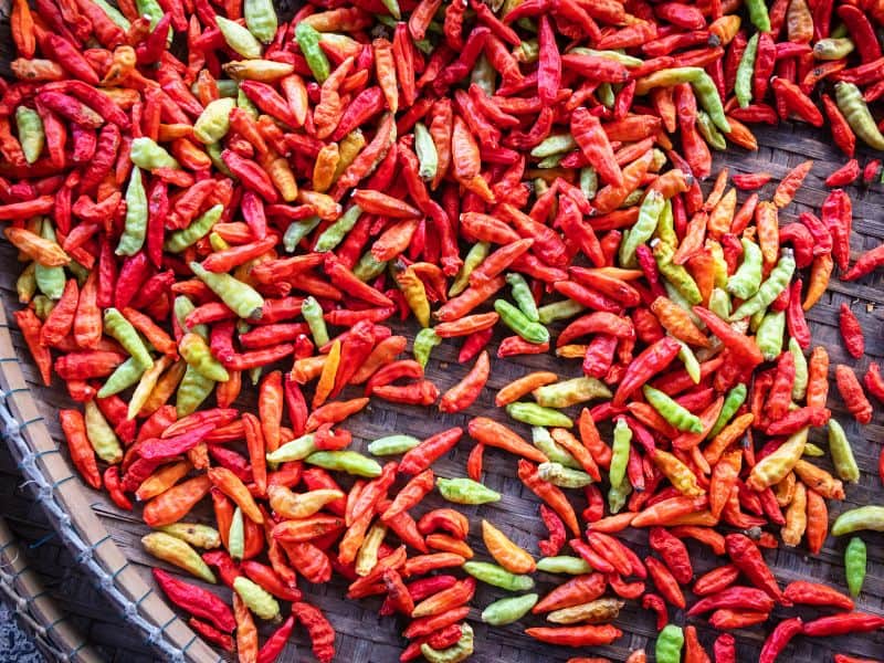 Prik Kaleang chilis have bumpy skin and come in a variety of colors including yellow, orange and red.