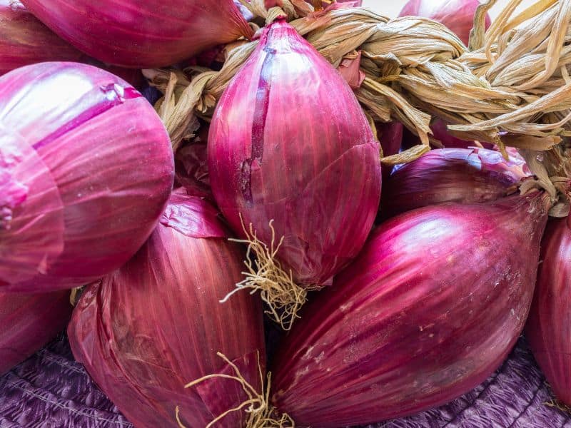 According to locals, good Tropea onions can be as sweet as an apple.